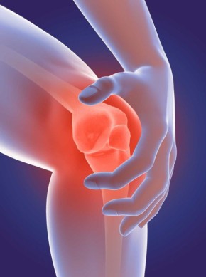 ������� �������� ��������: ��� ������ ������ �������� ����