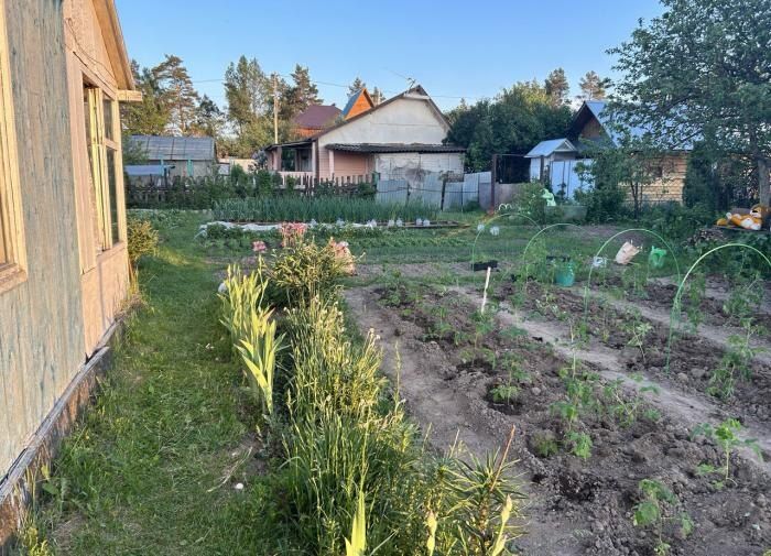 ������ ������: ��� ����������� ������� ������� ������������ �������� ���