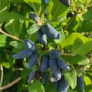 ��������� ������: ������� ��� ������� ������ ��� ������