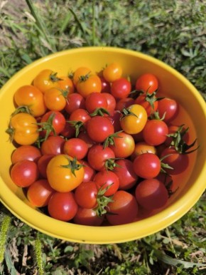 ��� ������� ������ �� ��������: ������� � ����������� ������