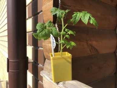 ������, ������� ������ ������� �������: �� ������� �� ������������ �����������