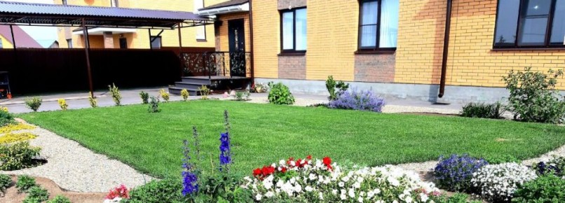 Эффективный уход за газоном весной: полезные советы