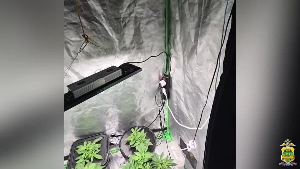 ��������� ���������� � ����������� ������: � ������� ������ ����� ������� ���������