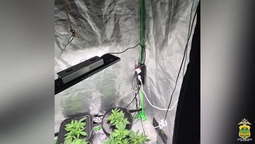 ��������� ���������� � ����������� ������: � ������� ������ ����� ������� ���������