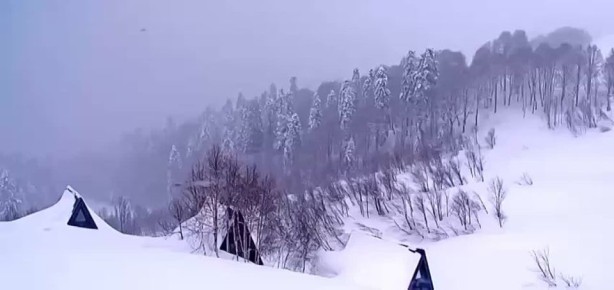 ������� ������ ���� ������� �� ������ �� ���������, �� � � ����� ����