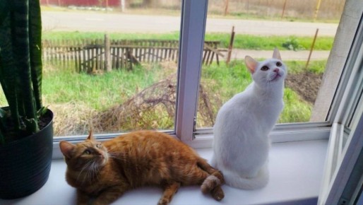 Доброе утро, Кубань!. Краснодар +14 °С