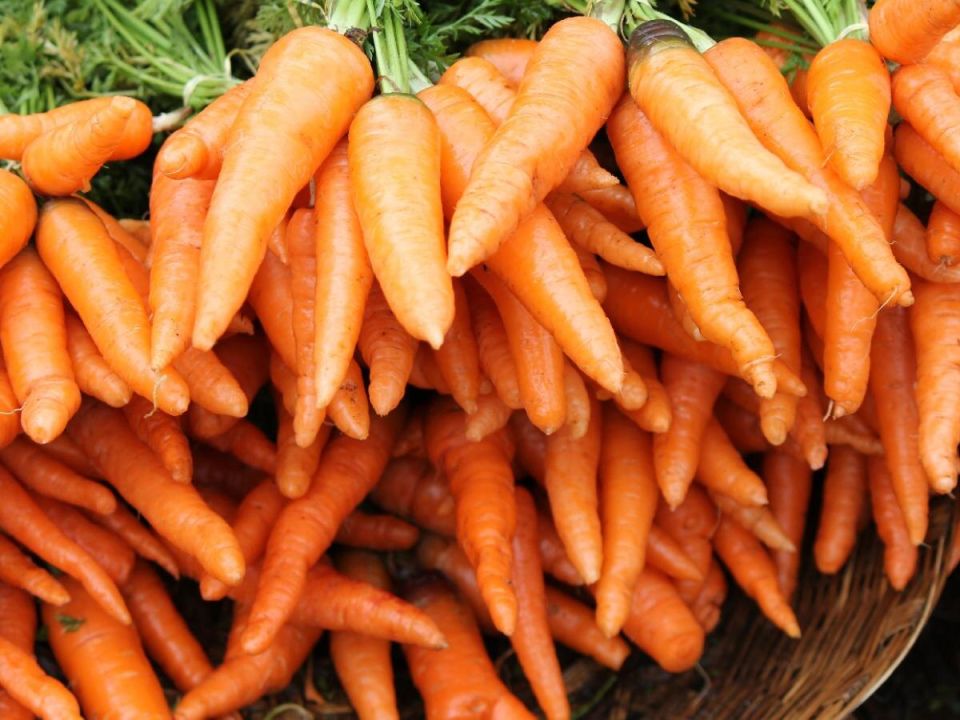 ������ ��������, � �� ����������� ������� ������� ������ �������