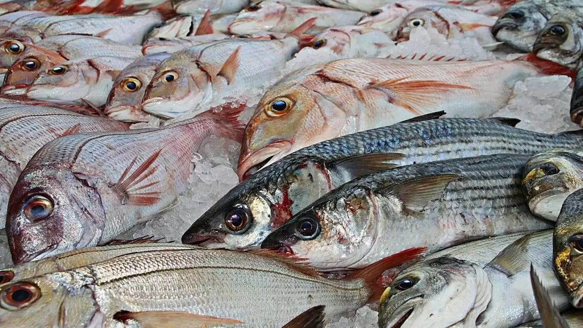 Рост рыбопереработки на Дону: новые рекорды производства