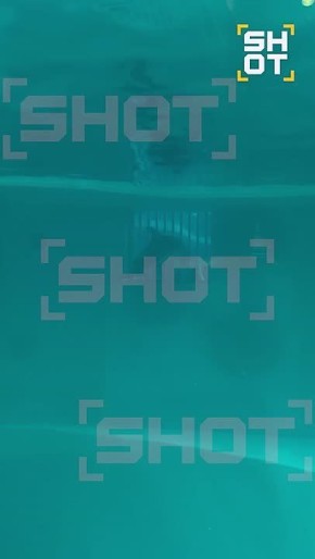 ��� ��������� ������ ������ � ����