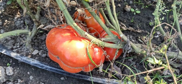 ��� ������� � ���� ����� ���������� ��� ������ � ��������� ������