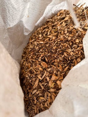 ��� ���� �� ��������� �������� ������������ � ��������� ������ ����