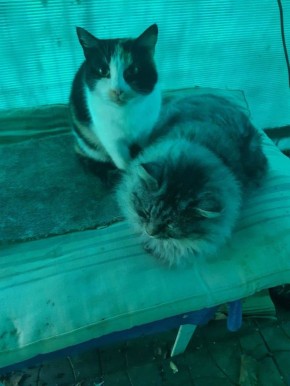 ������ ����, ������!. ��������� +20 ��