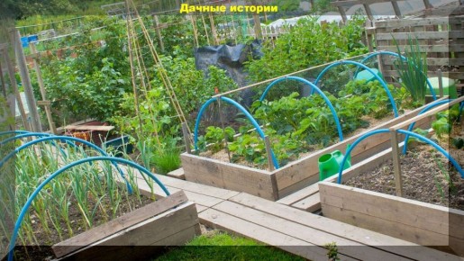 ��������� ������ ��������� ������������� ������� � 2025 ����