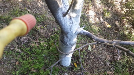 ������� ��������� ����: ����������� ���� ��� ������ �������� �� ���������� � ��������