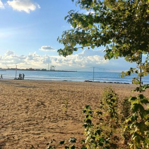 ������� ��������: ��� ������ ������� ������ ������� ��������