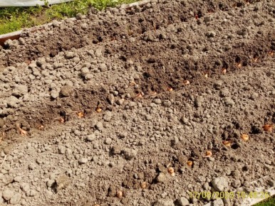 ������ ��� �� ��������� ����: ������� ��������� ������