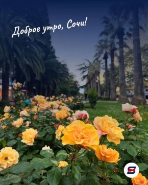 ������ ����, ����!. ����� ���� ���� ����� �������� ��������� ��������� � �����