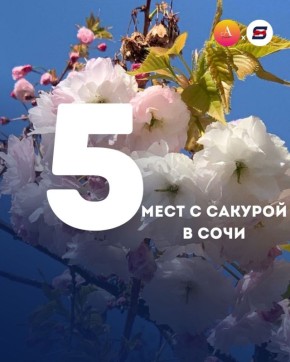 ��� ������� �������� ������ � ����?