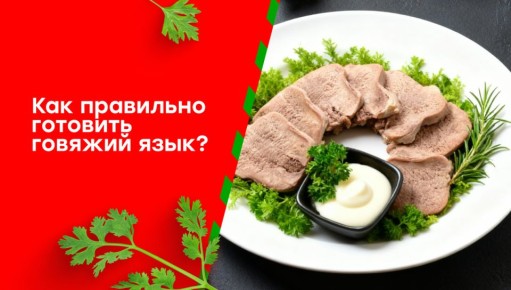 ������� ����: ������� ���������� ������������� � �������������� ������