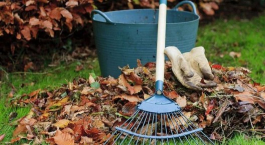 ��� ������� ������� ��������� ��� ������� ������ �� ��������� ���