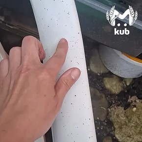 � ������ �������� ������������� ������� ������ �� ������ ������