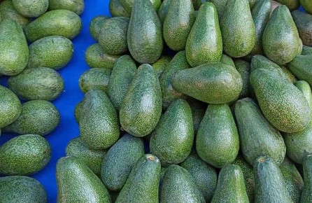 ��� ����������� ������� � ����������� �����: ������������ ������� ��� ��������