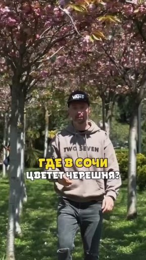 �����-������� ��� ����� ������� ����������� ������ �����? � �������� ������� ����� ������������ �������, � � ��� ��� ��� ���� ���� ������� ��� ����� �����-������� ������������� ����