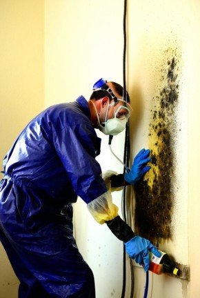 ��� ���������� ������� ������� �� ������ ����: ������������ ������ � ������ ��������