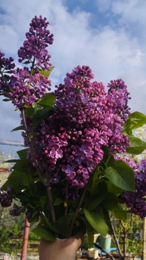 � ������ �� 23 ������. � ������������� ���� ���������� ����������