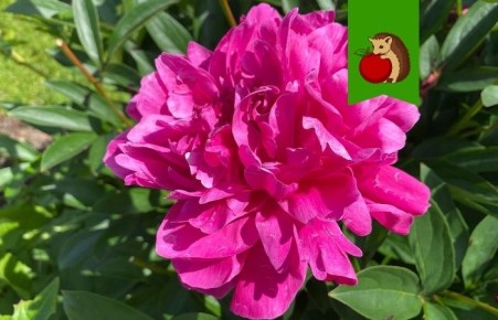 ���� �� ������� ������: ��� ��������� ������ ��� ������ �������� � ��������� ����