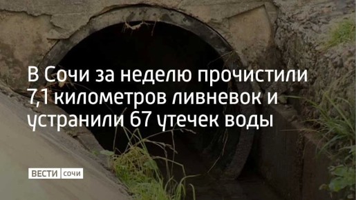 ���� �������� ����� 37 ����� ���������� ������� ������������ �������