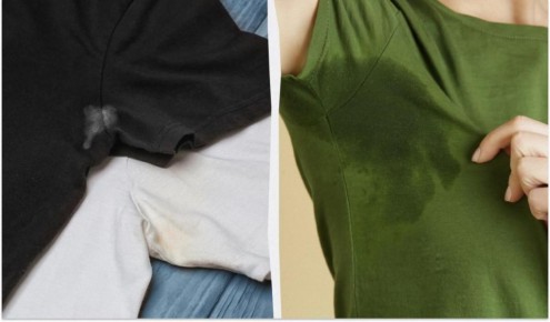 ������ � ������� �� �����������: ������� � �������� �������