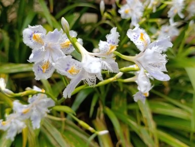 ������ �������� ����, ������� ����!