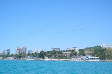 ������ ��������: ��������� ���� �����, ����������� �� �����������