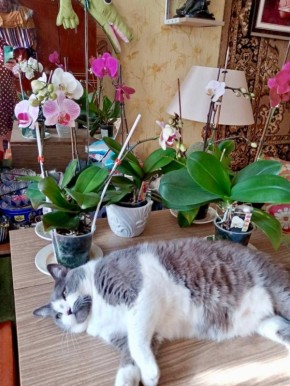 ������ ����, ������!. ��������� +15 ��