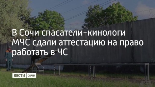 � ���� ������ ������-������������� ����� � ���������������� ��������� �������������� �������� ���