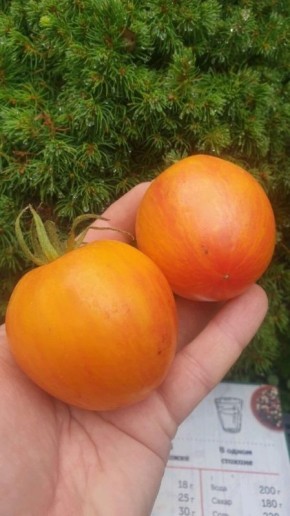 ����� ����� �����: ��������� ����� ��� ������ �������