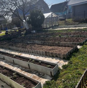 ��� �� �������: ������, ������� ����� ������ ������