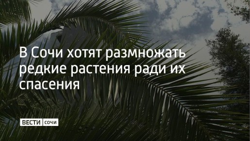 � ���� ���������, ��� ������� ������ � ���������� ���� ��������