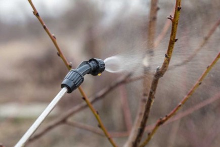 ��� ������ ��������� ���������� ��� ���������