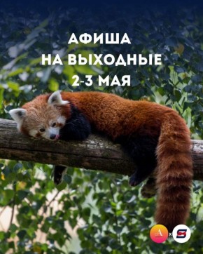 ���� ������� �� �������� 2-3 ���?