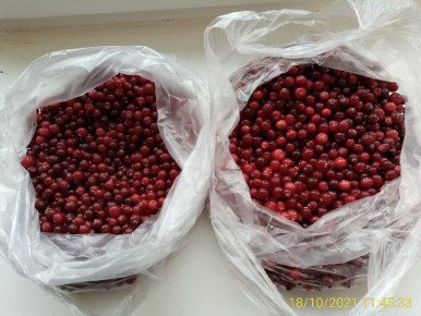 ����� �� ����� ����� �������� ������: ������ �������� �����������