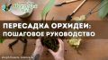 �������������� �����������: ��������� ��������� ������� ��� ���������� �����