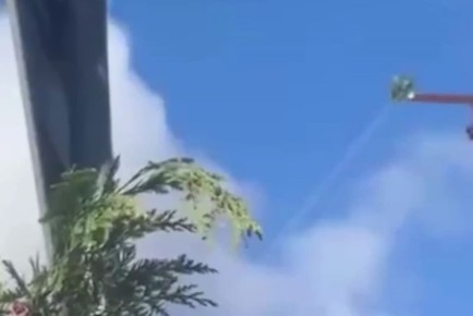 ��� ���������� ��� ������ ����� ���������� ���� �� ������ � ����