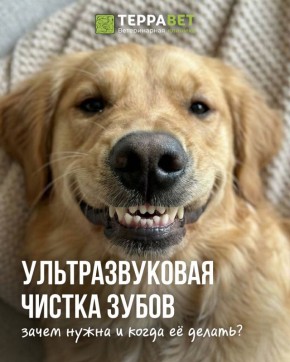 ���������� ������� �����: ������ ��� ����� ��� ������ ��������