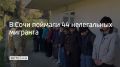 В Сочи сотрудники краевого управления ФСБ совместно с полицией при силовой поддержке бойцов Росгвардии провели рейд в местах возможного проживания иностранцев