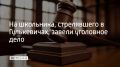 В городе Гулькевичи Краснодарского края возбудили уголовное дело против 16-летнего подростка, который утром 12 мая пришел в школу №1 с пневматическим пистолетом и выстрелил в младшеклассников