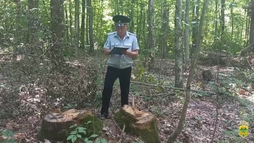 �� ������ ��������� ����� ��� "���"