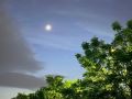 � ������ �� 21 ���. � ������������� ���� ������� � ������������