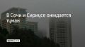 По сообщениям синоптиков, ночью и утром 23 мая в Сочи и на федеральной территории Сириус местами ожидается туман